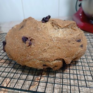 Rústico Cerveja Preta e Azeitona Preta - Imagem 3