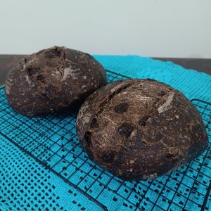 Pão Rústico de Cacau com gotas de chocolate - Imagem 5